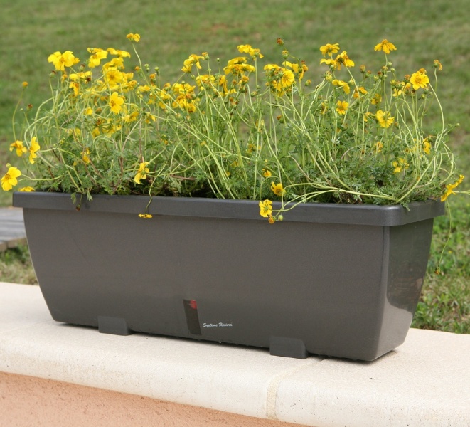 http://www.anima-jardin.fr/img/cms/jardiniere-eva-anthracite.jpg