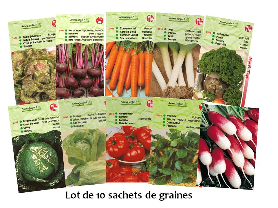 lot de 10 sachets de graines