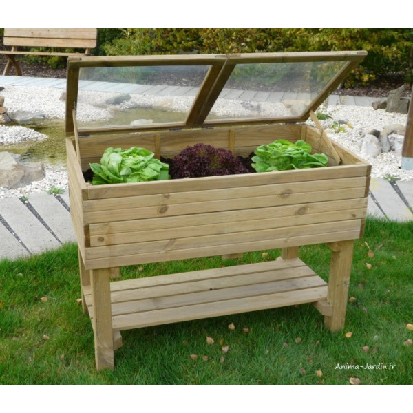 Carré potager sur pied, serre, 2 cases, bois, Solid