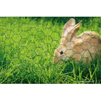 Grillage hexagonal plastifiée, 13mm, vert, Ideal Garden