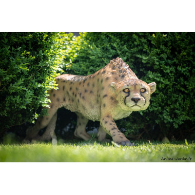 Guépard marchant XXL, L.128 cm, animal en résine, décoration extérieure
