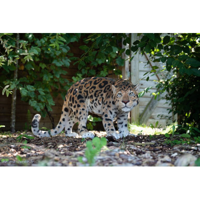 Léopard marchant XXL, L.116 cm, animal en résine, décoration extérieure