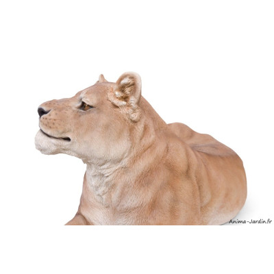 Lionne couchée XXL, L.116 cm, animal en résine, décoration extérieure