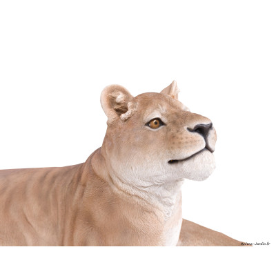 Lionne couchée XXL, L.116 cm, animal en résine, décoration extérieure