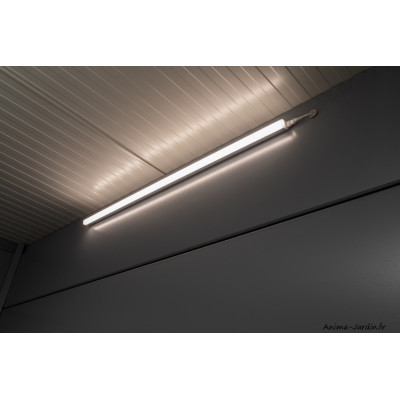 Kit électricité pour abri Eleganto