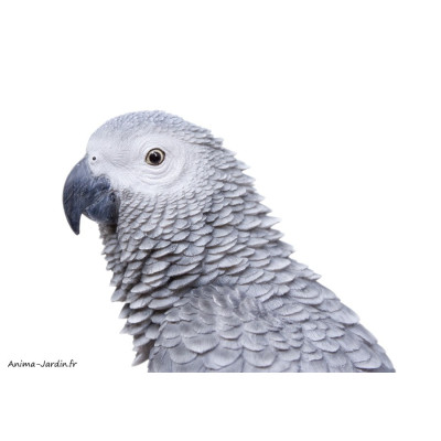 Perroquet Gris du Gabon, H.39 cm, animal en résine, décoration extérieure
