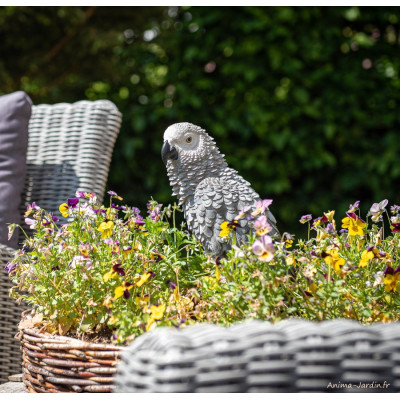 Perroquet Gris du Gabon, H.39 cm, animal en résine, décoration extérieure