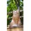 Chat assis roux, H.30 cm, animal en résine, décoration extérieure