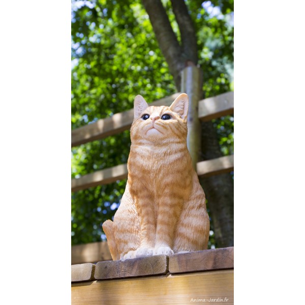 Chat Gris assis 30cm en résine, déco de jardin, Riviera, achat, animal