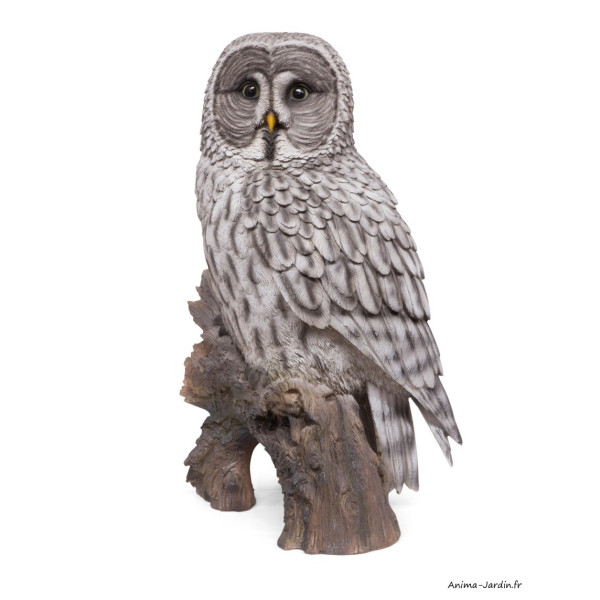 Chouette Lapone, H.52 cm, animal en résine, décoration extérieure