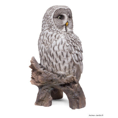 Chouette Lapone, H.52 cm, animal en résine, décoration extérieure