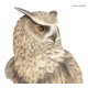 Hibou XXL, H.60 cm, animal en résine, décoration extérieure