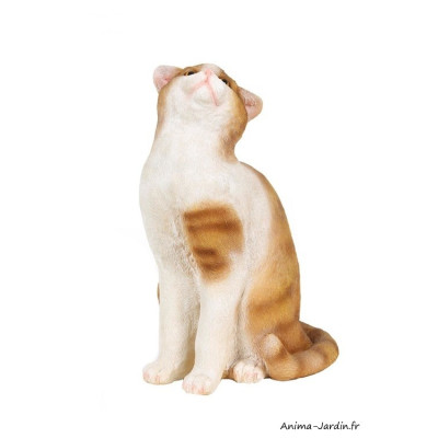 Chat, 33 cm, regard vers le haut, animal en Polyrésine, décoration du jardin