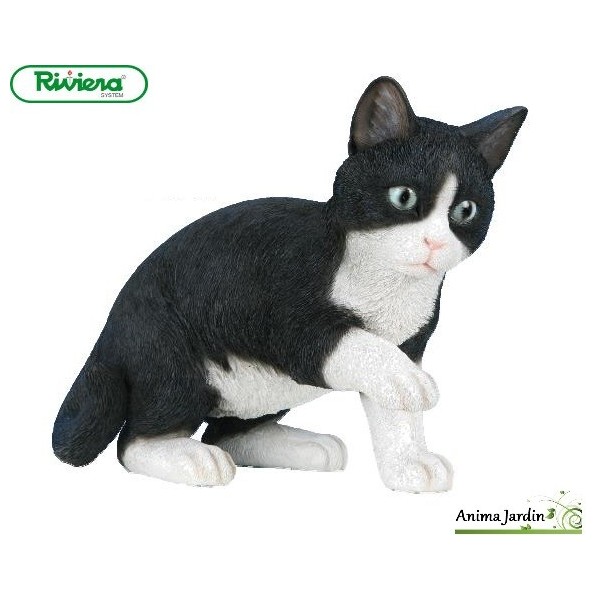 Chat Noir et blanc Jouant 35cm en résine, déco de jardin, Riviera, achat,  animal