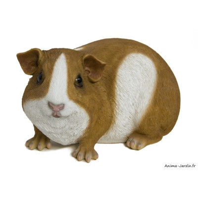 Cochon d'inde, L.23 cm, animal en résine, décoration extérieure