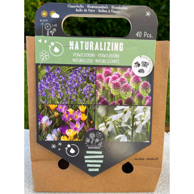 Crocus, Allium, Perce neige, Jacinthe des bois, plusieurs mois de fleurs, bulbes