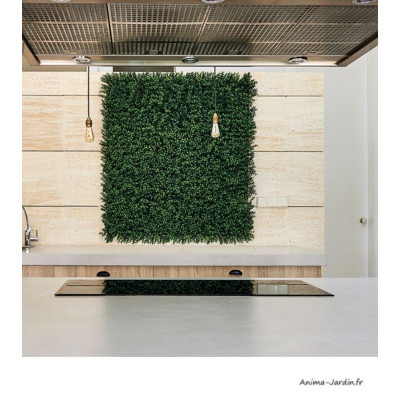 Mur végétal artificiel Buxus, Imitation Boj