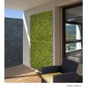 Mur végétal artificiel Buxus, Imitation Boj