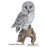 Chouette Hulotte 36 cm en résine, Riviera, achat, animal de la Forêt