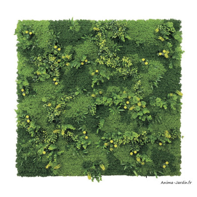 Mur végétal artificiel Tundra, Imitation mousse verte