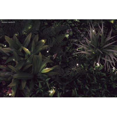 Mur végétal artificiel Sauvage LED, Imitation Feuillage Luxuriant