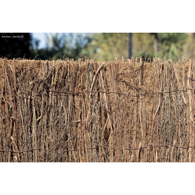 Brande de bruyère + coco,  Bruc Coco, Occultation 4/5