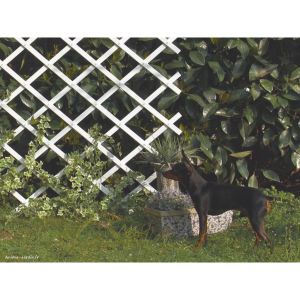 Treillis PVC extensible Blanc, Treilliflex