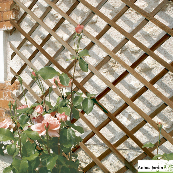 Treillis extensible en bois Marron, Trelliwood