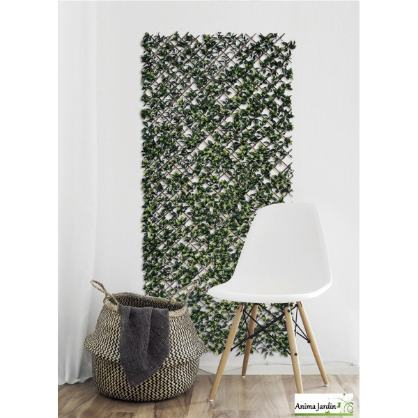 Treillis extensible feuillage, Trellibambu Buxus