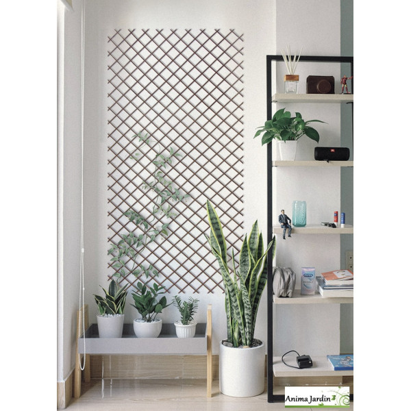 Treillis extensible en bambou, Trellibambu