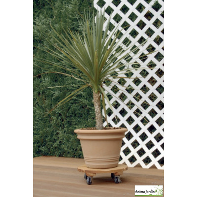 Support à roulette pour plante, Flora Roll Lasure Rond