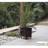 Support plantes à Roulettes "Flora Roll Lasure" 40x40 cm, plateau carré roulant pour plantes lourdes Nortène, achat/vente
