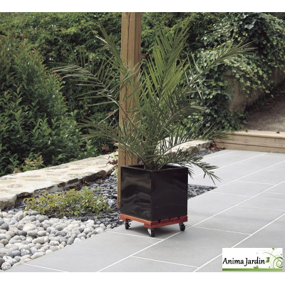 Support plantes à Roulettes "Flora Roll Lasure" 40x40 cm, plateau carré roulant pour plantes lourdes Nortène, achat/vente
