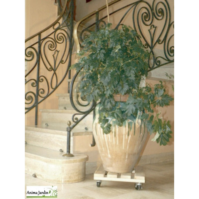 Support à roulette pour plante, Flora Roll Autoclave Carré