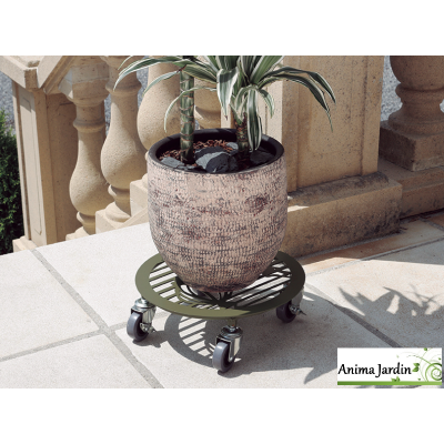 Support à roulette pour plante, Flora Roll Puppy