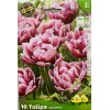 Tulipe Columbus, double hâtive, bulbe calibre 12+, achat/vente