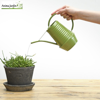 Arrosoir d'intérieur, nuances de vert H.18,6 cm