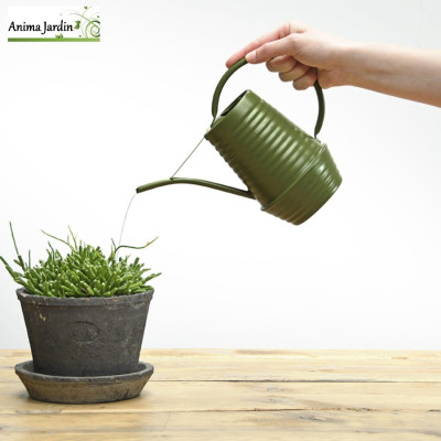 Arrosoir d'intérieur, nuances de vert H.18,6 cm