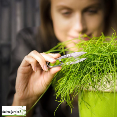 Mini sécateur en acier inoxydable