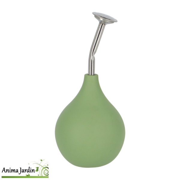 Pulvérisateur d'eau poire vert menthe