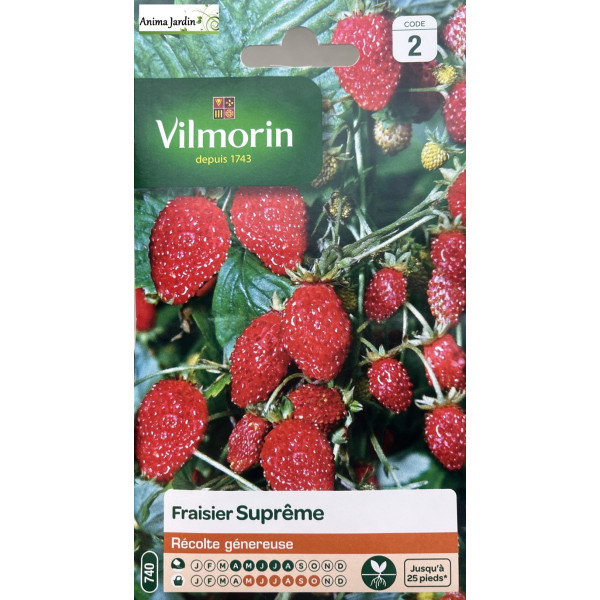 Graines de fraisier Suprême 4 saisons, Graines de fruit