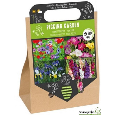 Lot de 50 bulbes, Anemone, Freesia, Iris, Gladiolus