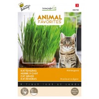 Graines herbe à chat à semer, Graine disgestion