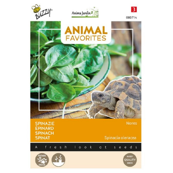 Graines d'épinards Nores pour tortue terrestre