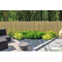 Brise-vue bambou Premium, 3/5 occultant