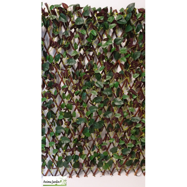 Treillis extensible en osier, Feuille verte & Rouge, 2x1 m