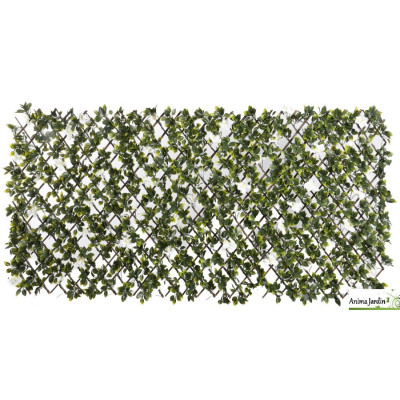 Treillis extensible en osier, Feuillage Fleur de Jasmin