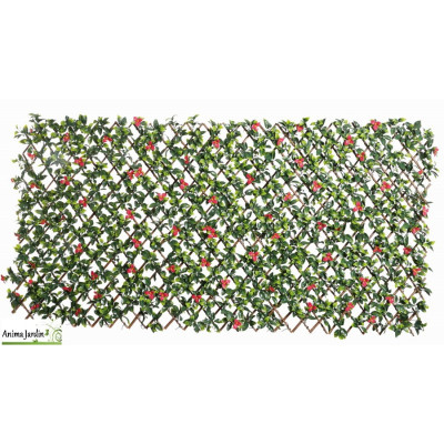 Treillis extensible en osier, Feuilles et fleurs de Bougainvilliers