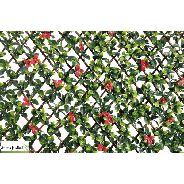 Treillis extensible en osier, Feuilles et fleurs de Bougainvilliers