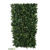 Treillis extensible en osier 2x1 m, Feuille de Photinia